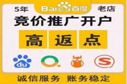 SEM优化策略：打造高效广告投放案例